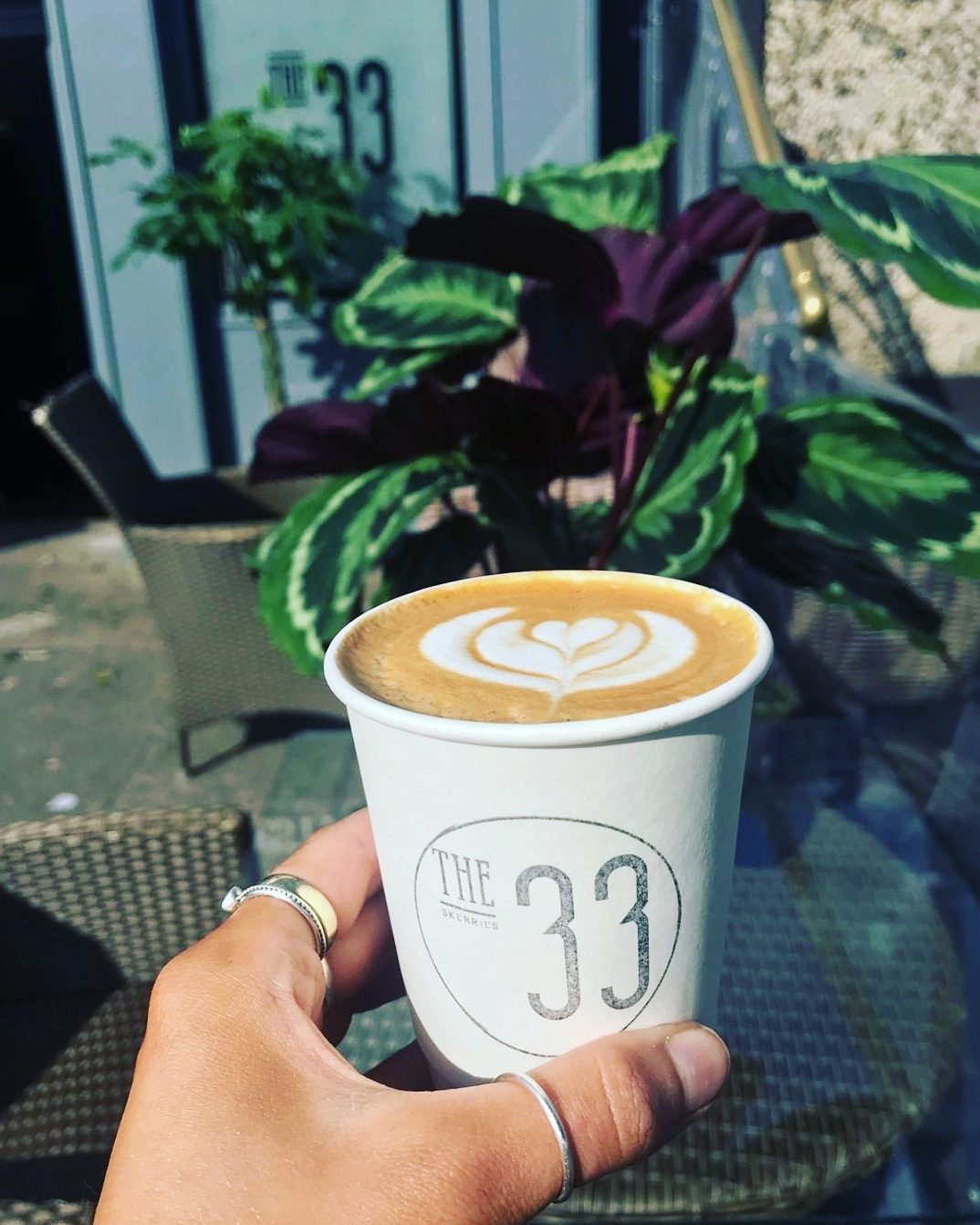 A branded takeaway cup from The 33 Cafe held at an outdoor table among potted plants